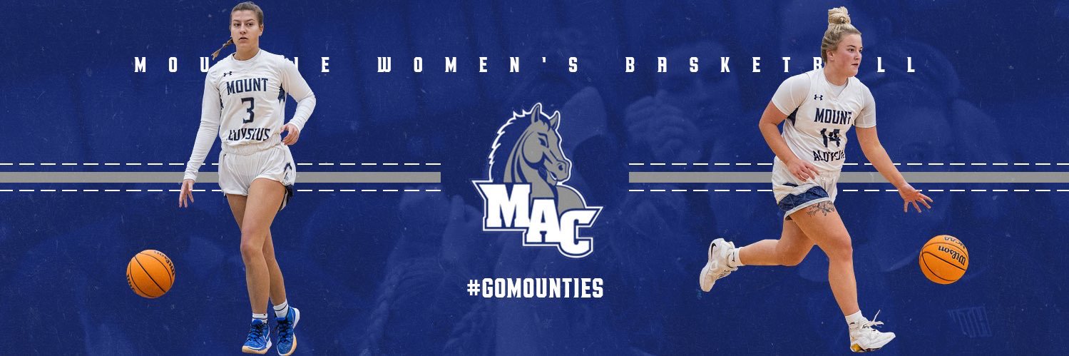 Mount Aloysius Women's Hoops banner