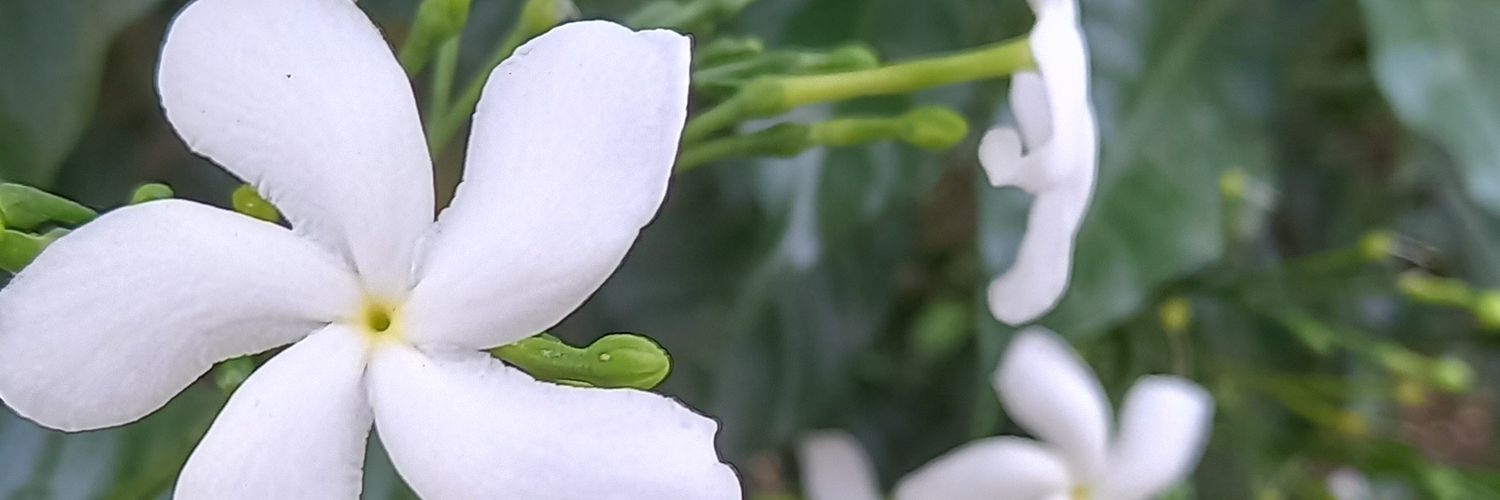 VALUERSATISH's profile banner image