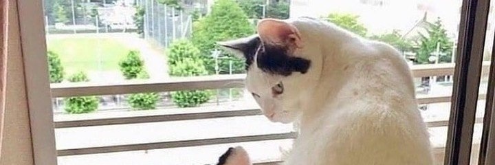HeReigneth's profile banner image