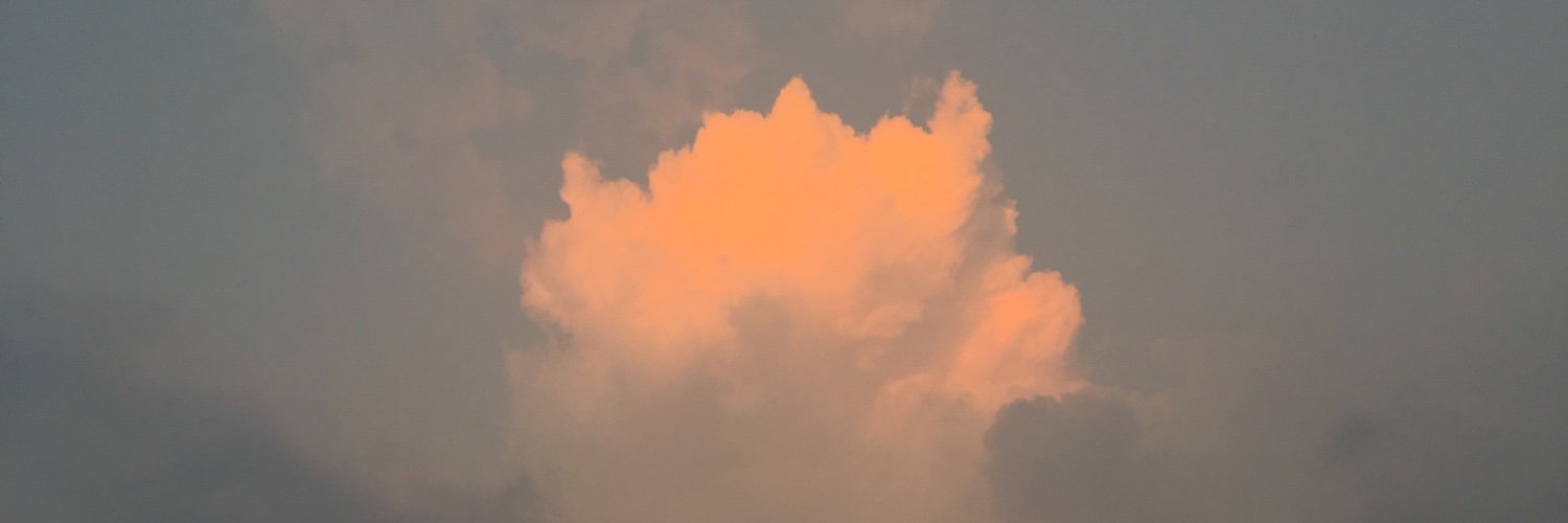 wwtffffff's profile banner image