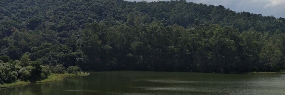 50_maisa's profile banner image