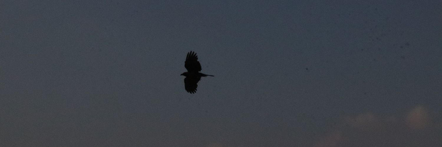 𝗔𝗯𝗱𝗮𝗹𝗿𝗵𝗺𝗮𝗻 🇵🇸 banner