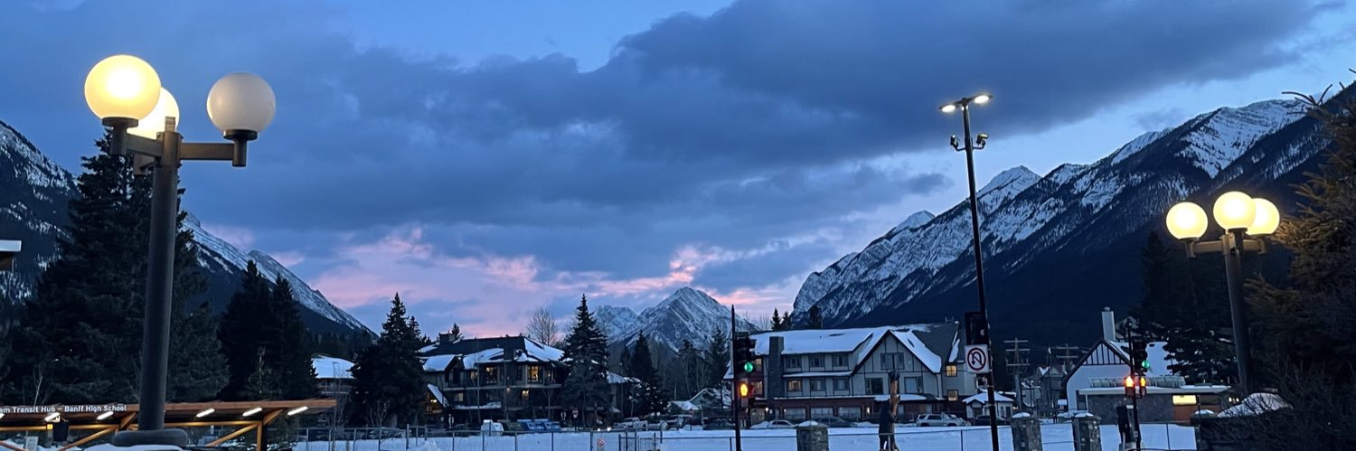 blondeleobaby's profile banner image