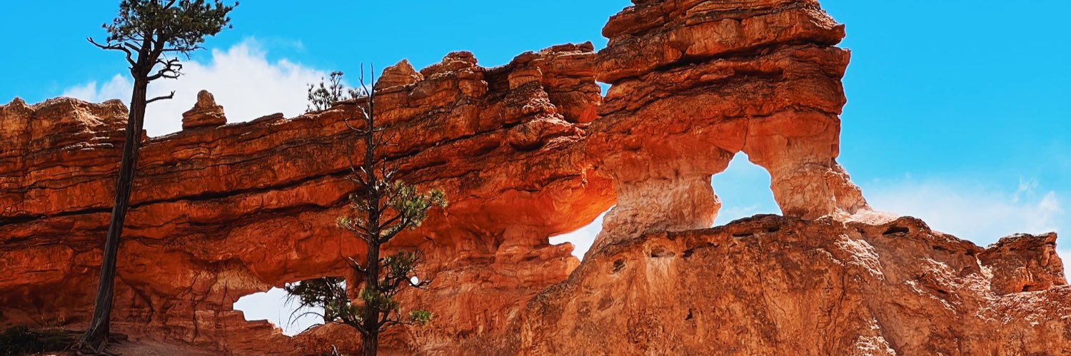 skybauman's profile banner image