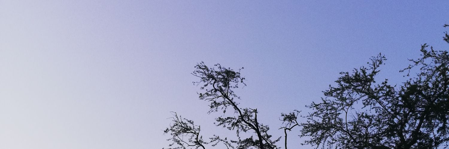 _jo_whee's profile banner image