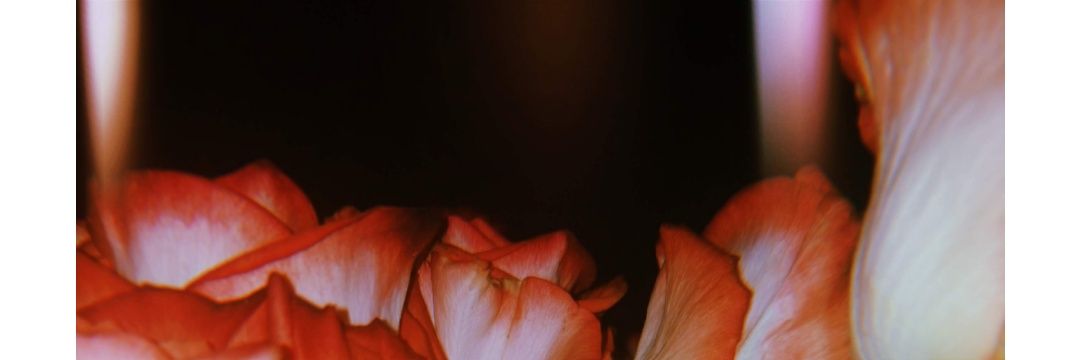 whotheffiseder's profile banner image