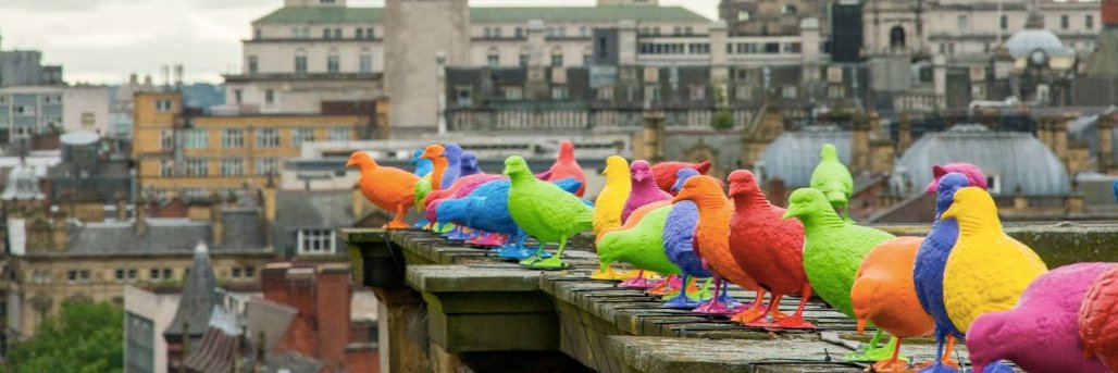 Patrick Murphy banner