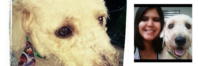 Tacifs's profile banner image