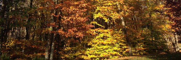 EmotionalLife Profile Banner