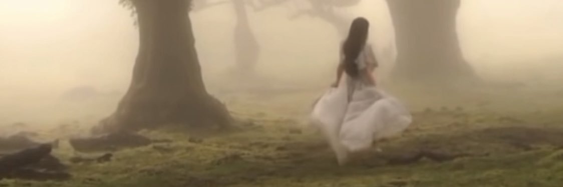Books forever banner