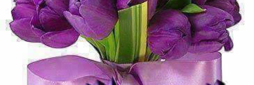 wardaalbedaa's profile banner image