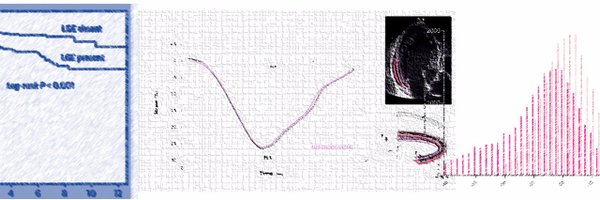 echocardiac Profile Banner