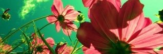 MultiMediaGrrl's profile banner image