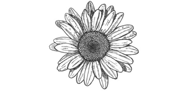 Christian M banner
