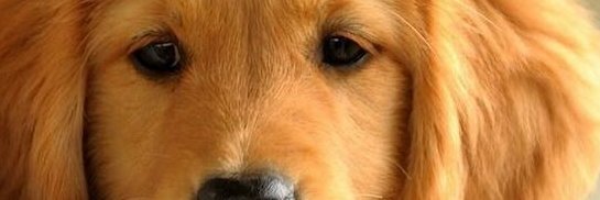 MarieD_DM's profile banner image