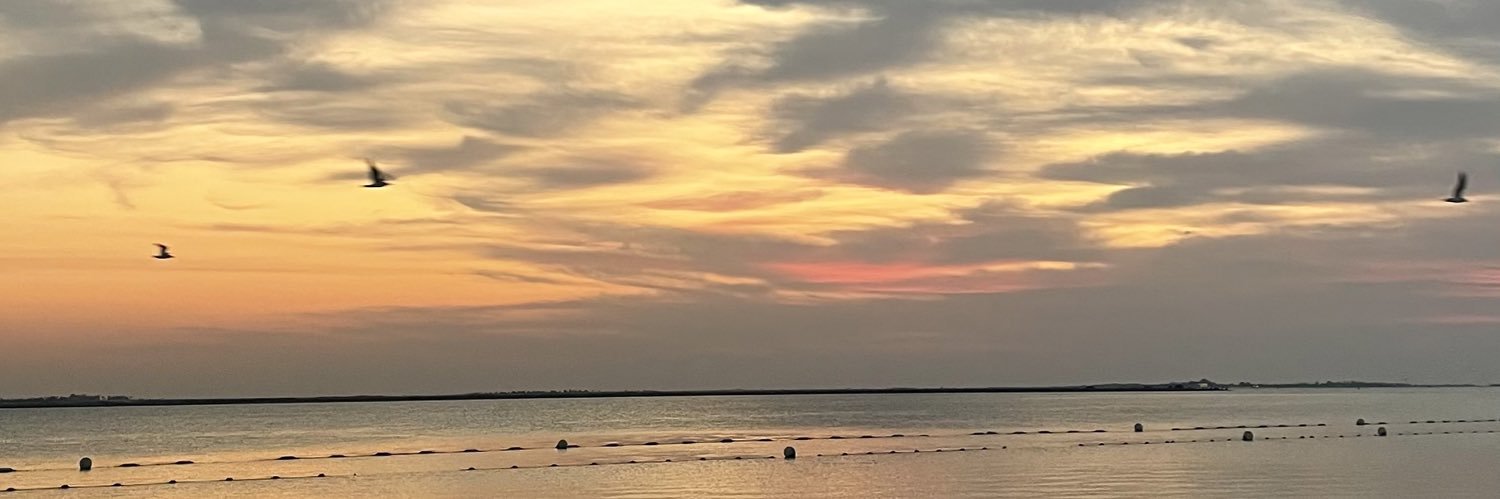 f_abvx's profile banner image