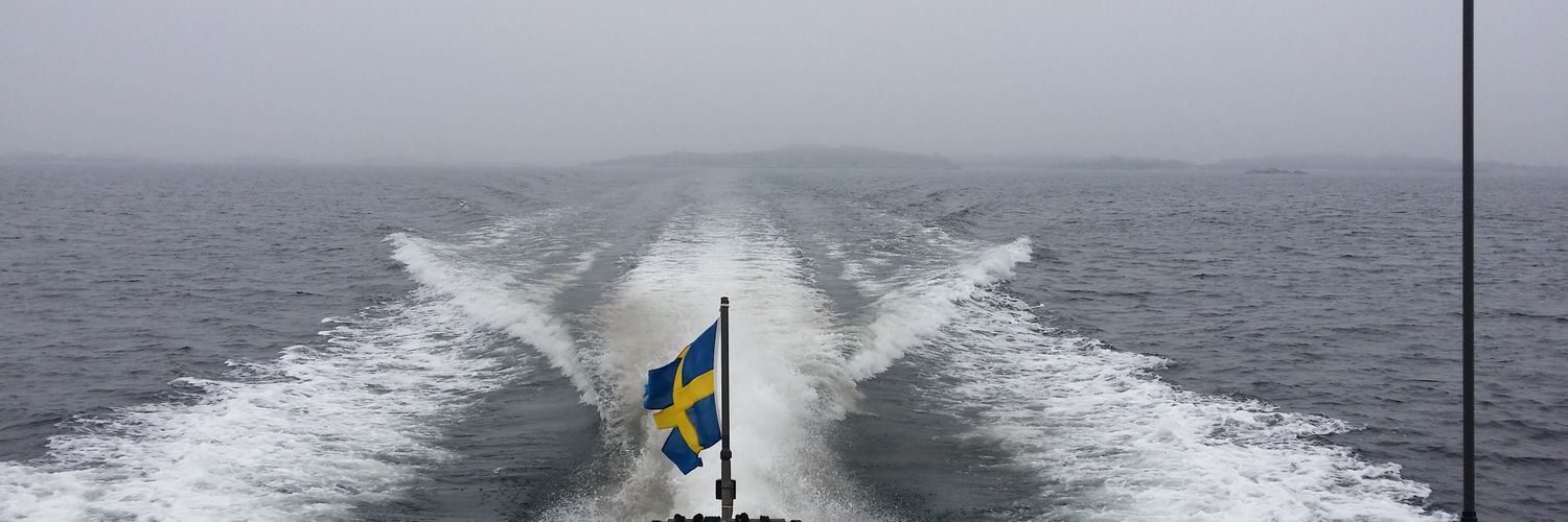 LeifsSoderstrom's profile banner image