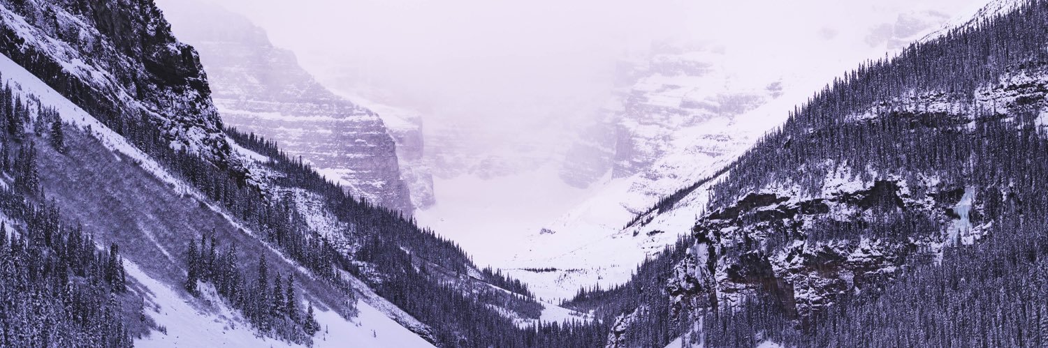 holly_obee's profile banner image