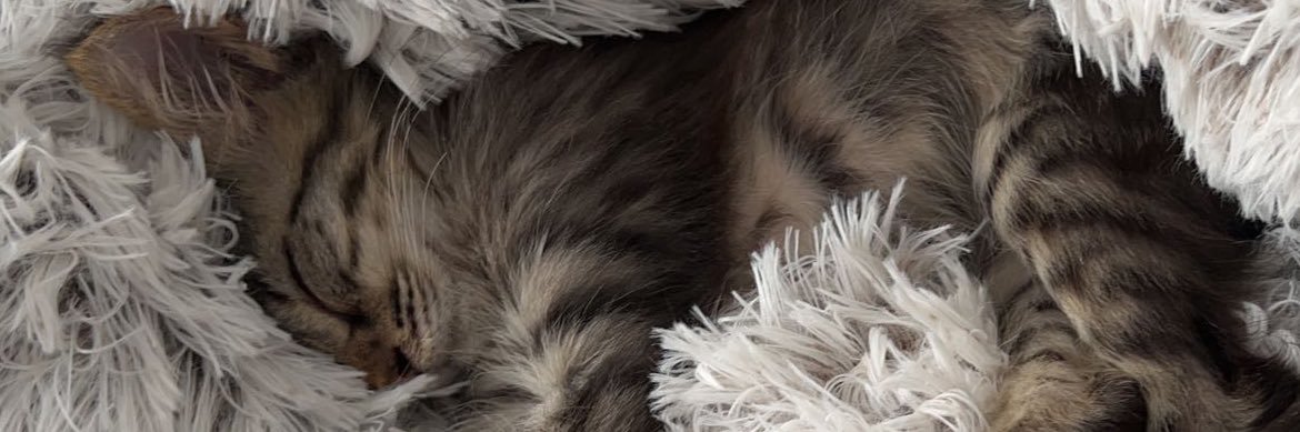 bertrand_cam's profile banner image