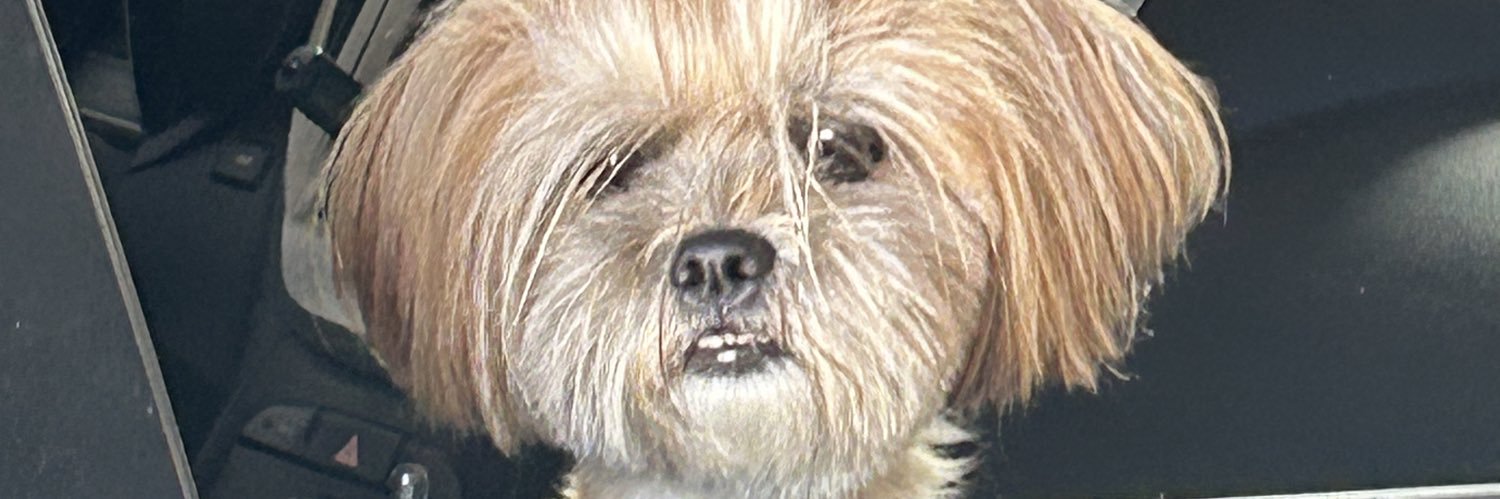 Tatiane Rolim banner