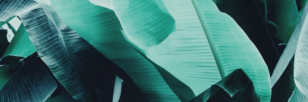 daisymartyn_'s profile banner image