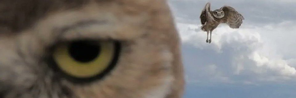 jatman_96's profile banner image