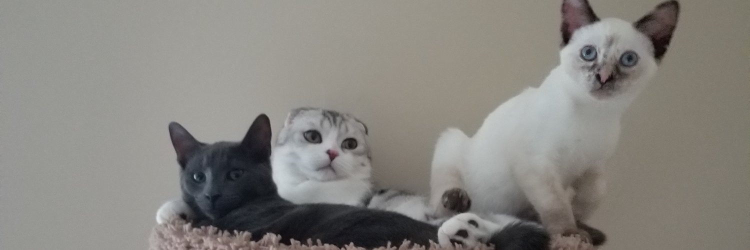 åŝ/ banner