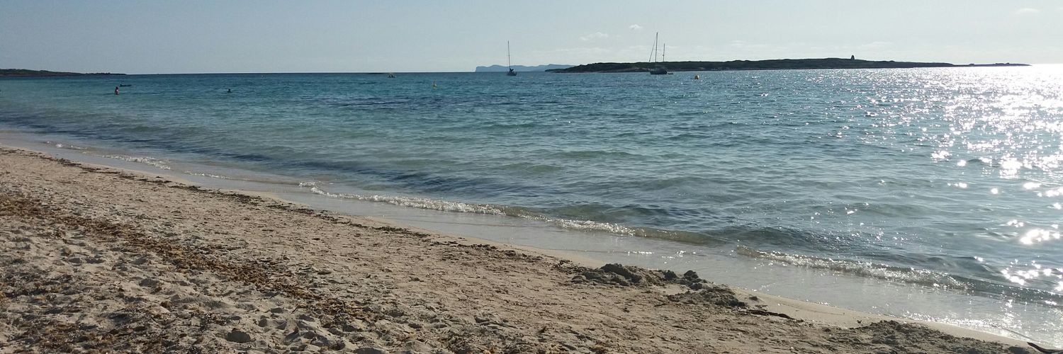 Isabel Soler banner