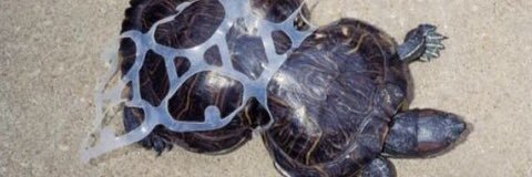 seanoplastic's profile banner image