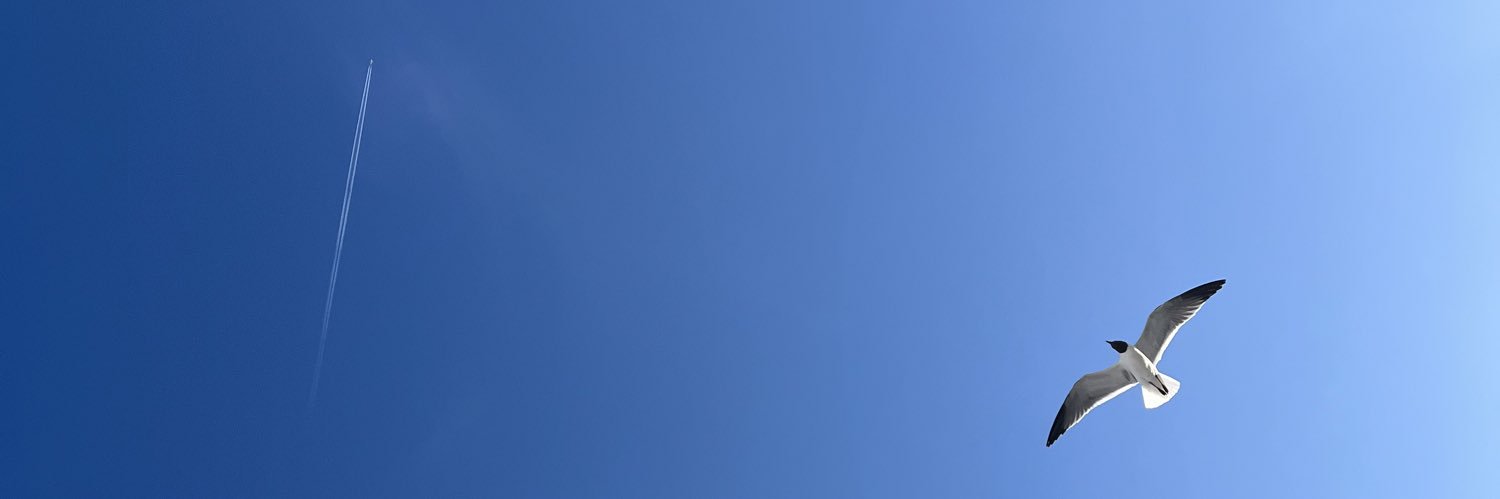 jess_dlo's profile banner image