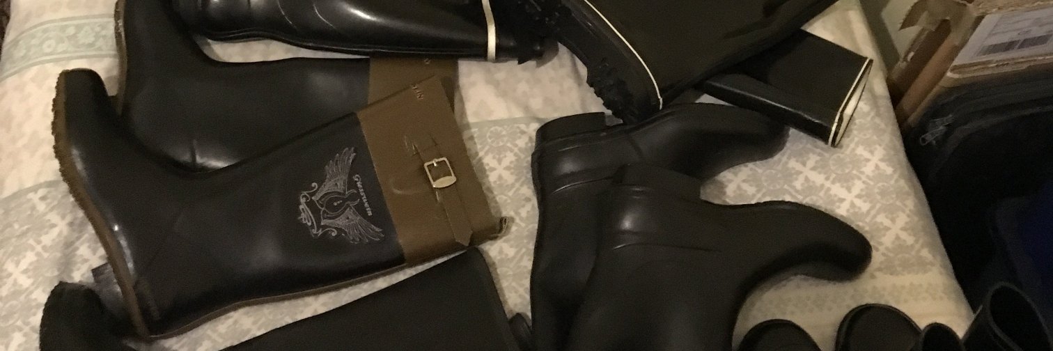 Joe S. Walker banner