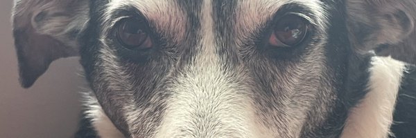TheAndrewBello Profile Banner