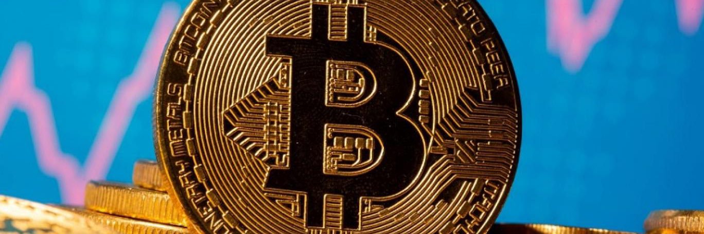 bitcoinara's profile banner image
