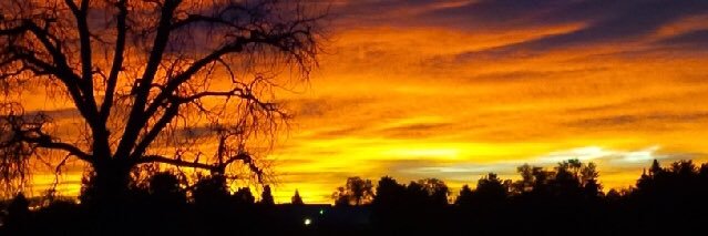 Elis Madison 🗽⛪️🇺🇸🇺🇦💙🌊 banner