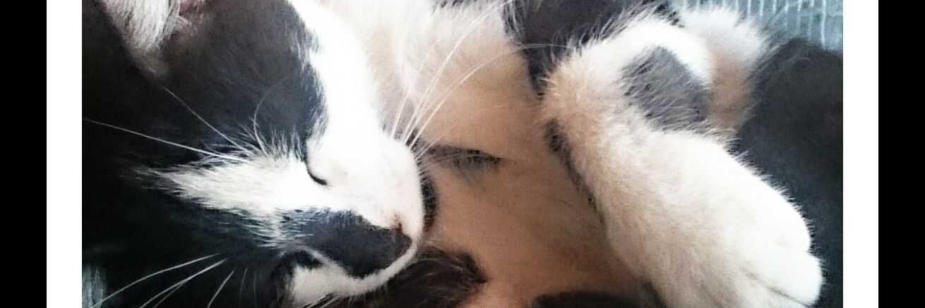 bouba1057's profile banner image