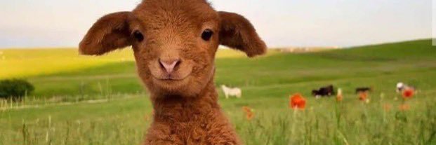 Eliza | BLASTR banner