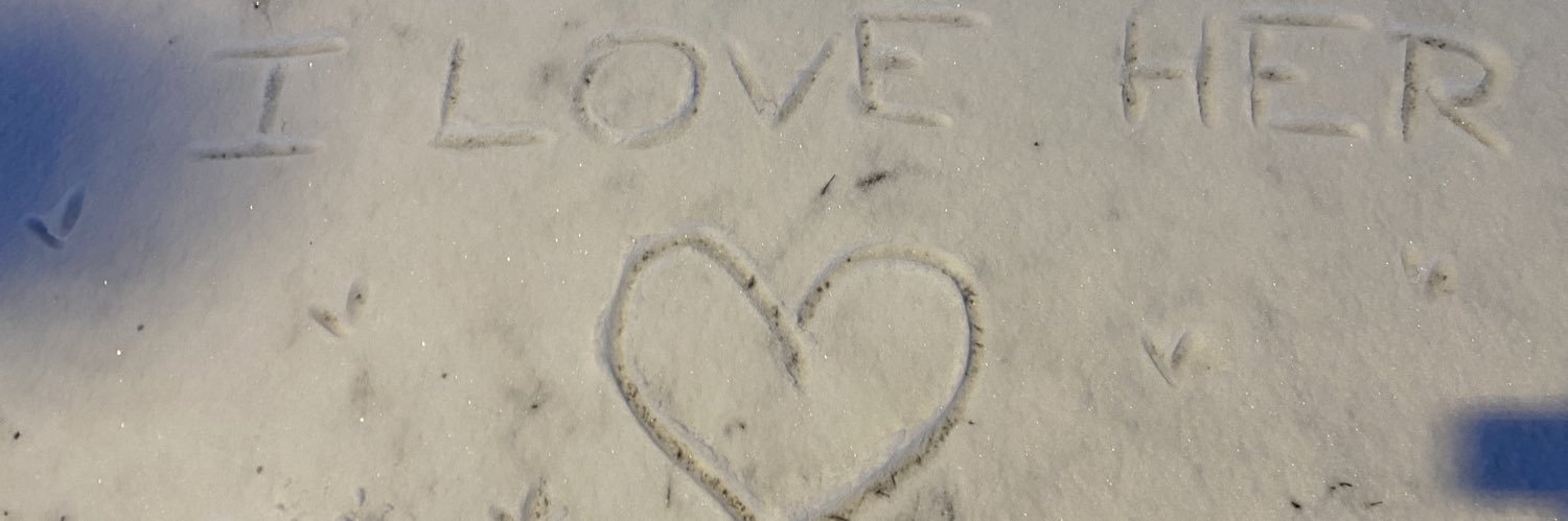 ❀ Schey ❀ banner