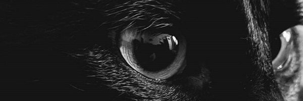 YAMlYUA Profile Banner
