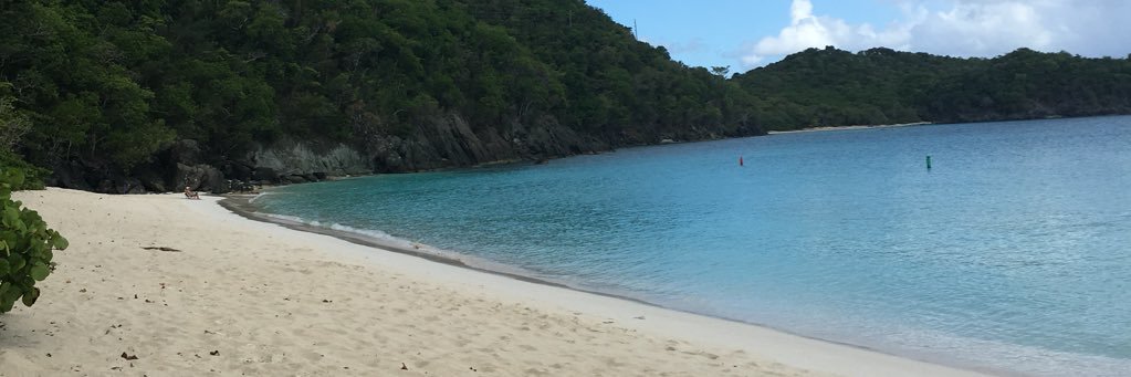 catherineM00RE's profile banner image