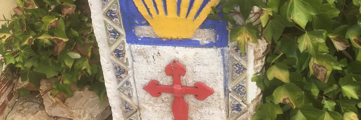shlomo cohen banner