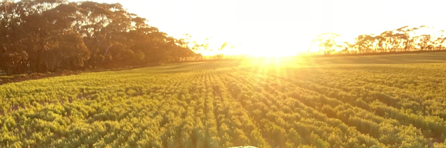 Matthew Harrison banner