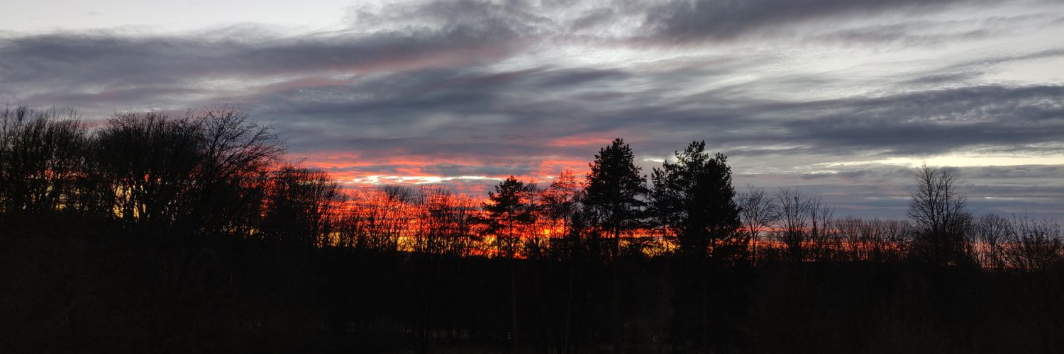 DorisBleyer's profile banner image