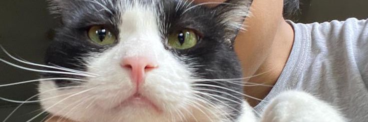 callmefiraa's profile banner image