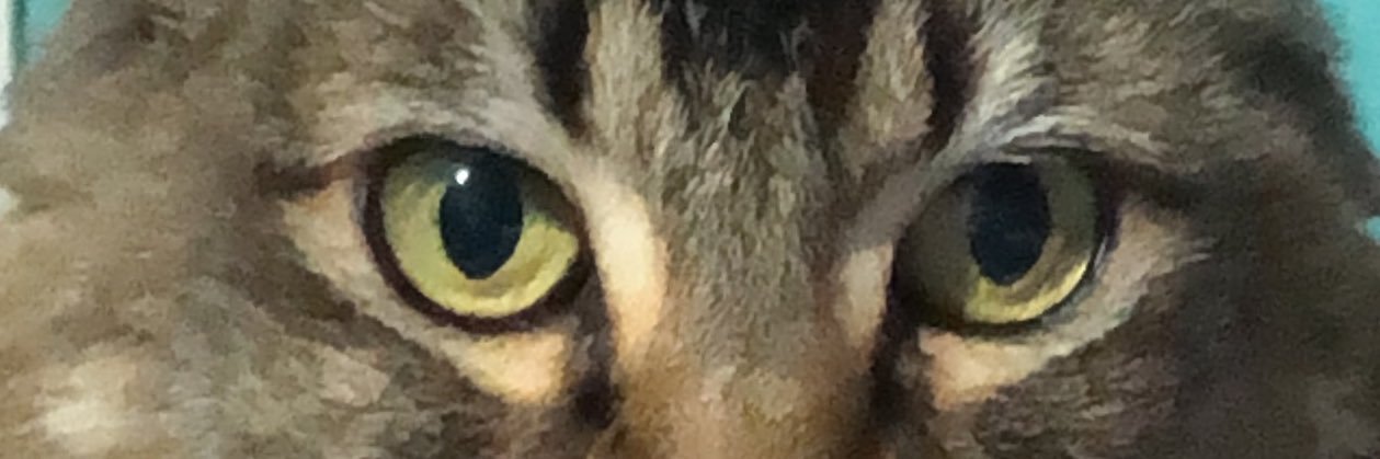 Estrellaaltuki's profile banner image