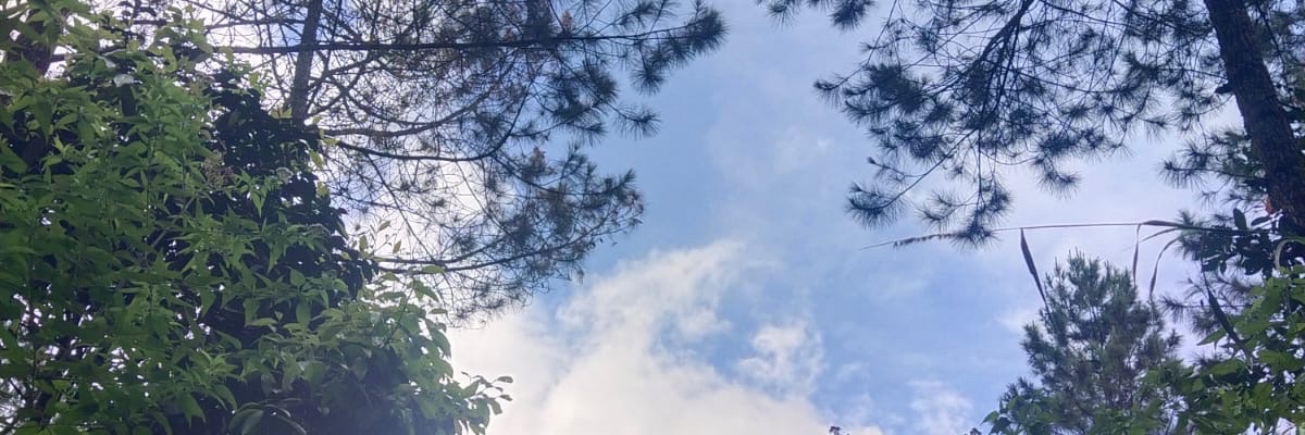 nabilanona's profile banner image