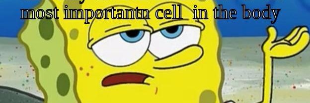 MembraneCell5's profile banner image