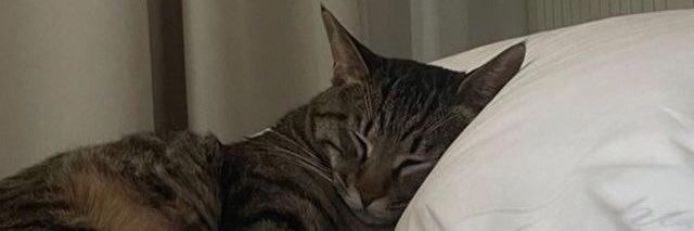 nrnj_'s profile banner image