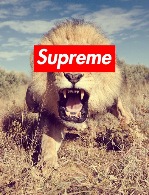 BreonMitchell3's profile banner image