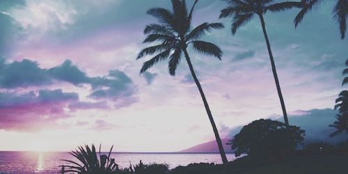 LoganLackey's profile banner image