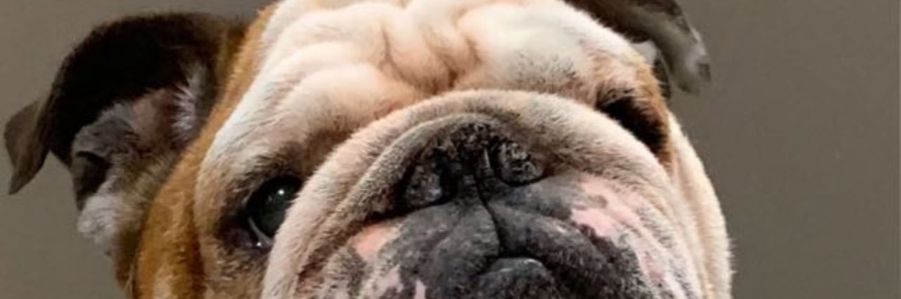 Manym3k's profile banner image